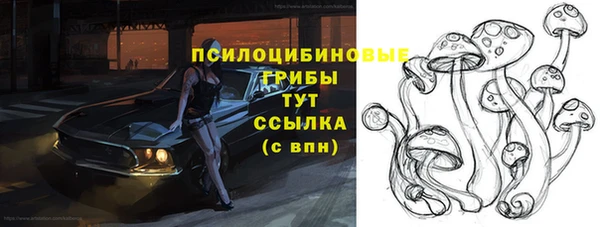 круглые Бронницы